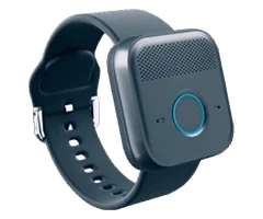mini lite